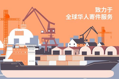 雙11購物狂歡節,鯨鳥集運超大優惠助力反向海淘